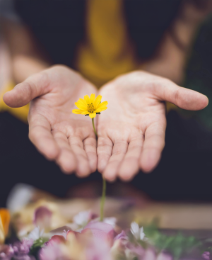 Wellbeing and psychosocial support 