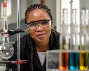 Researcher