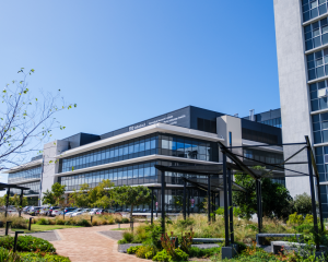 Tygerberg campus