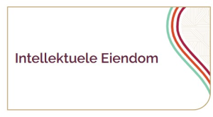 Intellektuele-eiendom