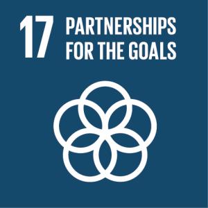 SDG Strategic Partnerships