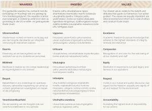 SU_Values table_Website Afrik 2026 v4