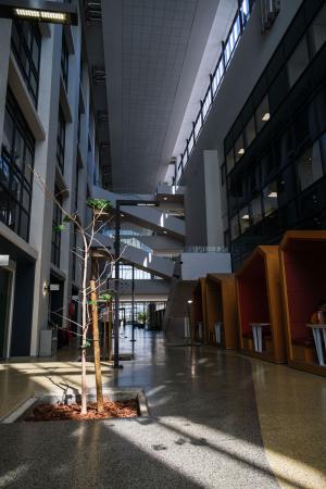 Tygerberg Campus