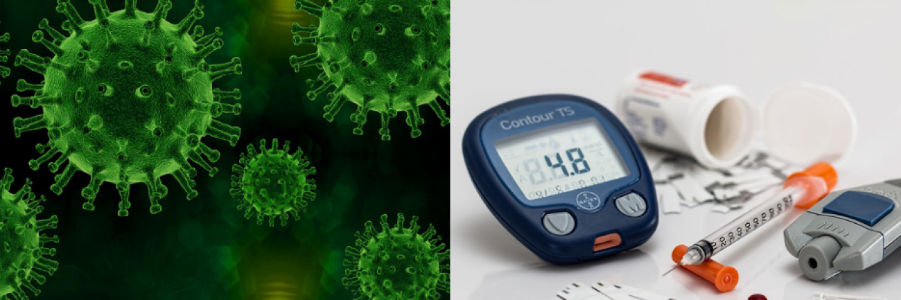 World Health Day Primary Health Care Helps Combat COVID 19 Lifestyle World Health Day Primary Health Care Helps Combat COVID 19 Lifestyle