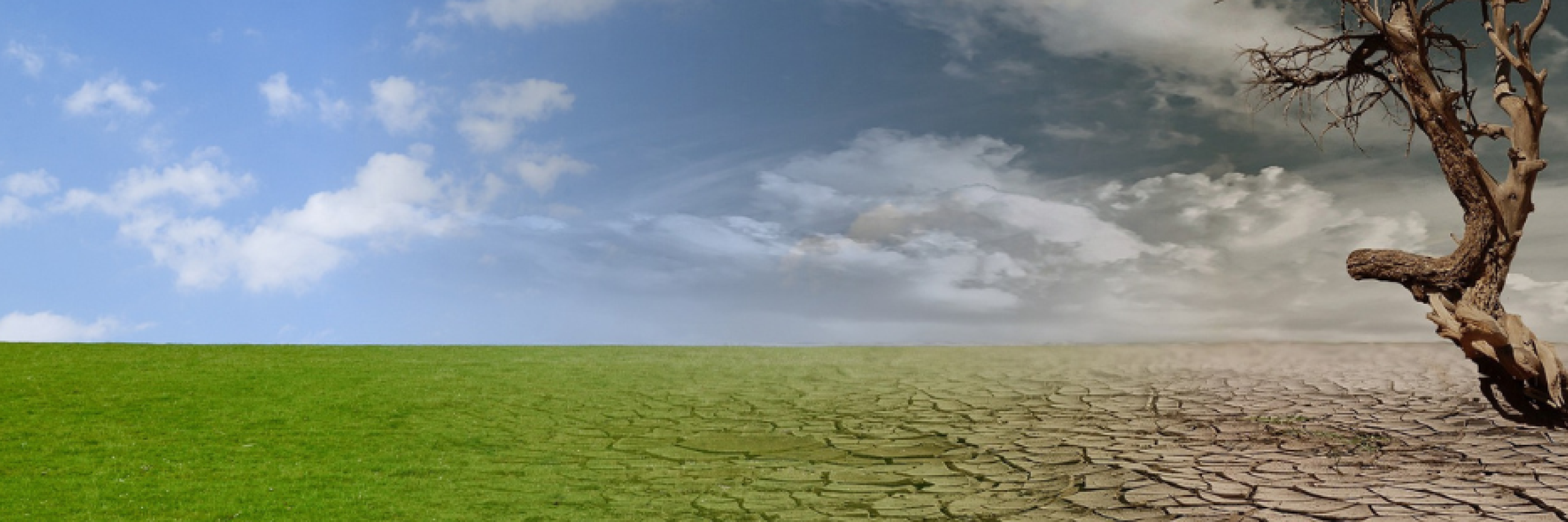 Climate solutions: A balance between economic development and ...