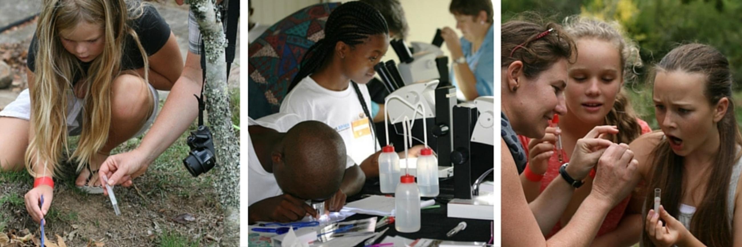 Iimbovane’s ant workshop earns prize at SciFest Africa | Stellenbosch ...