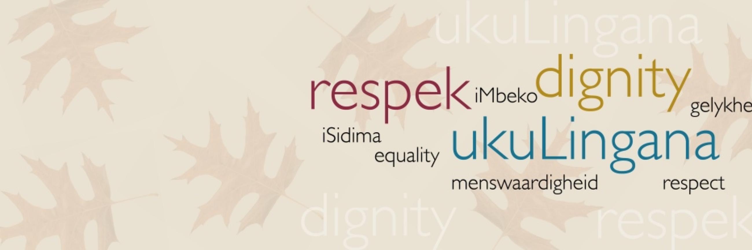 Statement: social media posts of racist remark | Stellenbosch University