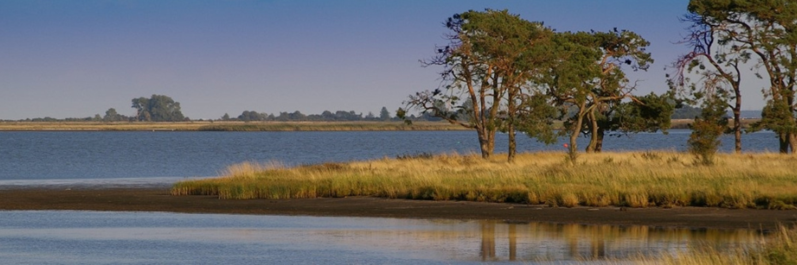 World Nature Conservation Day Promote The Sustainability And World Nature Conservation Day Promote The Sustainability And