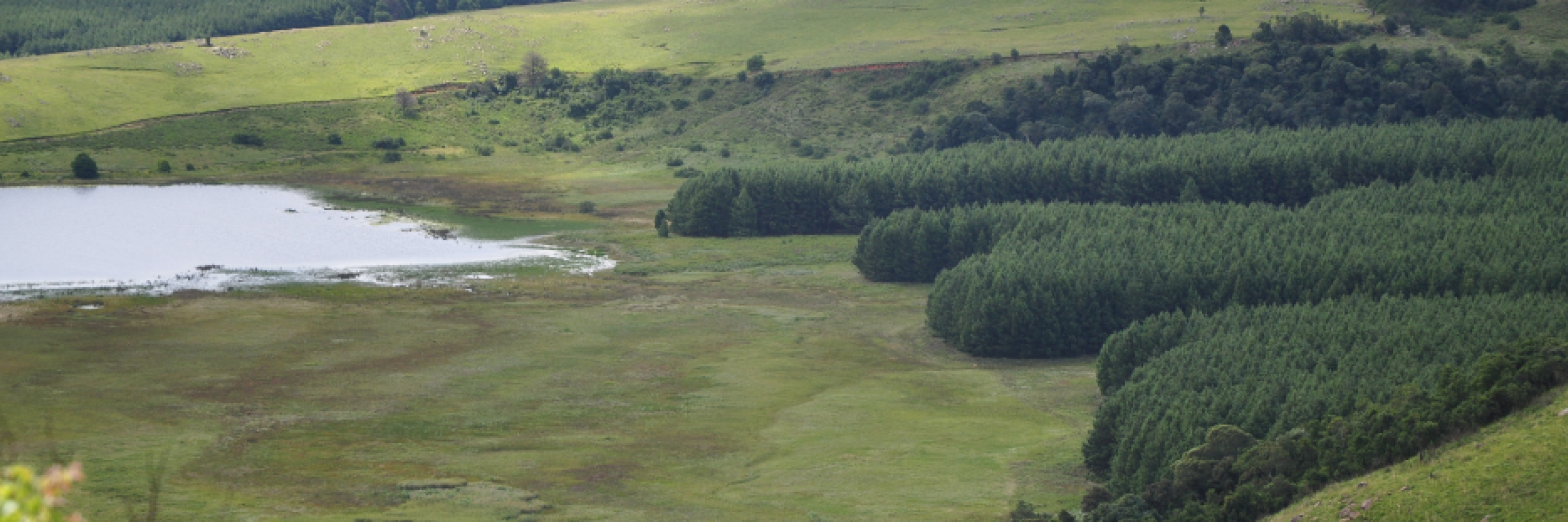 SA leads in nature conservation using huge corridors | Stellenbosch ...