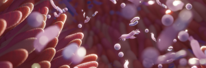 Human gut microbiome