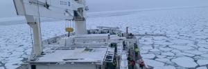The samples for the study were collected during the Southern Ocean Seasonal Experiment (SCALE) austral winter expedition on board the SA Agulhas II polar research vessel from 11 to 22 July 2022.