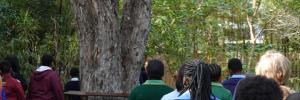 Stellenbosch University Botanical Garden plants educational seeds for local scholars