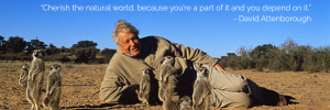 Sir Richard Attenborough