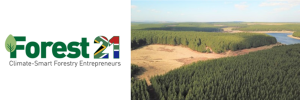 21ste Eeuse klimaat-slim bosbou vir voortbestaan en volhoubaarheid in Suid-Afrika