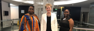 ACS director speaks at first ever hybrid HERS-SA Academy