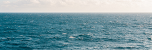 Africa’s governments must help protect subsea cable infrastructure for better cyber defense