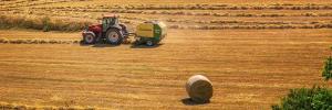 Agriculture must be used to develop rural areas