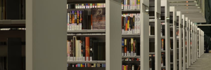 Akademiese biblioteke help om COVID-19-verwante fopnuus te fnuik
