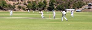 Another league victory for Steinhoff Maties Cricket