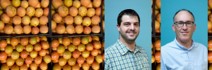 Avatar against food waste in the citrus industry