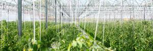 Construction underway on state-of-the-art Horti Demo Centre