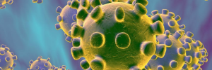 Corona Virus: What we know currently