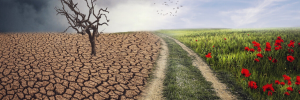 COVID-19 pandemic also an opportunity to restore vital ecosystems