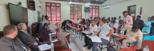 Disaster risk scholars engage at first Periperi U CARP workshop