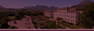 Eminent SU researchers receive NRF awards
