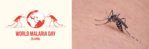 #EndMalaria – a look at the impact of malaria on World Malaria Day