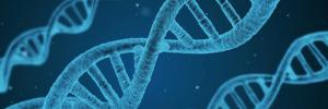 Genetiese navorsing kan mediese behandeling help verbeter