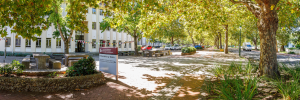 Gesamentlike verklaring deur die Universiteit Stellenbosch en die Universiteit van Groningen