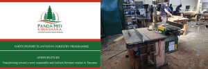 Houtprodukwetenskap personeel sluit aan by meubelontwikkeling-konsultasiespan in Tanzanië