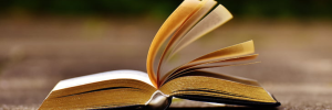 International Literacy Day: Innovative teaching methods can help solve reading crisis
