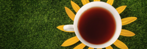 Intrinsieke waarde verbind Ubuntu en rooibos aan mekaar