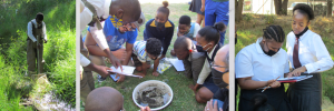 Kayamandi learners to monitor Krom River
