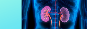 Kidney Awareness – give your kidneys a second thought!