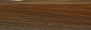 Land restitution not a complete failure, but problems persist