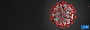 The latest information on the coronavirus (COVID-19)