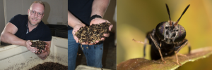 Meet Dr Insect Farmer!