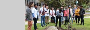 Memorial trees planted for late colleagues and students