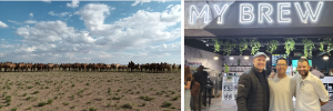 My Brew Coffee Roastery borg student se veldekskursie na Mongolië