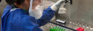‘n Toets wat genesing van TB aanwys word benodig teen weerstandigheid