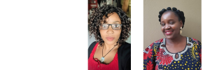 New Africa Centre lecturers bring a wealth of expertise