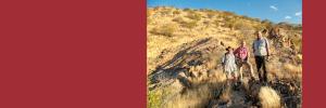New insights on the gigantic Donkerhuk granite batholith
