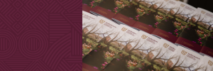 New report showcases SU’s efforts to build “the Africa we want”