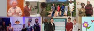 In a nutshell: 2017 highlights at the IPB