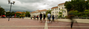 Planne vir die eerste semester