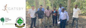 Prof Brand Wessels hosts wood property measurement methods workshop