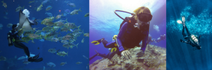 Recreational Diving Medical Examination: What's it all about?